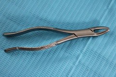 GERMAN 10 GERMAN EXTRACTING FORCEPS EXTRACTION DENTAL INSTRUMENTS-A+ QUALITY