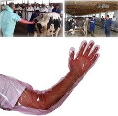 50 Pcs Insemination Long Gloves Disposable 50 Count (Pack of 1), Clear