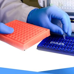 Basic 1000 PCS Blue Vinyl Exam Gloves XL-SIZE
