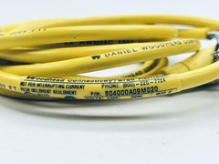 BRAD HARRISON 80400A09M020 / 80456-A MICRO-CHANGE 4-PIN FEMALE CORD SET 2-M