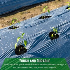 Poly Cover – 4 Mil Black Plastic Sheeting