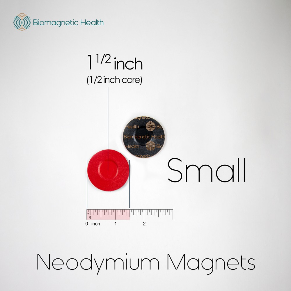 Small Neodymium Biomagnetism Magnet Pair – 0.5 inch