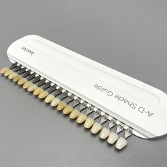 Ivoclar Vivadent Dental Shade Guide A-D 20 IPS Natural Die ND1-9 Bleach Teeth