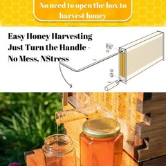 Automatic Beehive Starter Kit Cedarwood Beekeeping Box with 7pcs Auto Bee Frames