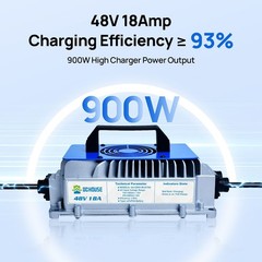 48V 100AH Golf Cart Lithium LiFePO4 Battery with 18A Charger Club Car Bluetooth