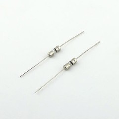 10pcs Glass Tube Fuse Axial Leads 3.6 x 10mm 1A 1Amps Fast Quick Blow 250V