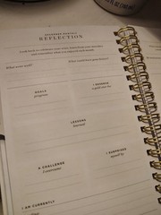 Day Designer Boutique Edition Jul 2026-Jun 2027 Pocket Weekly/Monthly Planner