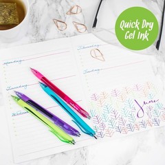 Gel Pens | 12 Count, Fine Point Tip (0.5mm), Assorted Rainbow Colors, Retractabl