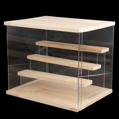 Stylish Wood & Acrylic Display Shelf for Organizing Small Items
