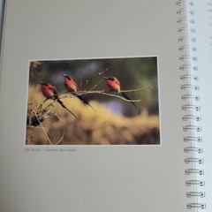 New: Images of Nature Address Book, Featuring Photos by Thomas Mangelsen