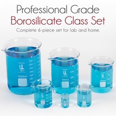 Glass Beaker Set 6 Sizes 10ml-1000ml Griffin Low Form Borosilicate