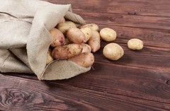 Burlap Bags Wholesale Bulk (50) 24 x 40 – Sacks Potato Race Sandbags Home Depot