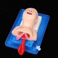 Baby Infant Model Training Teaching Intubation Manikin Airway Management Trainer