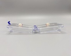10 Pcs Denture False Teeth Membrane Case Container Hinged Display Box Jewelry