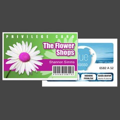 Custom Printed PVC Card Name Badge Printed PVC Plastic Credit Card Sized