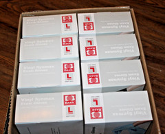 800 BASIC Vinyl Exam Gloves Latex-Free & Protein Free 100/Box, 800 Gloves total.
