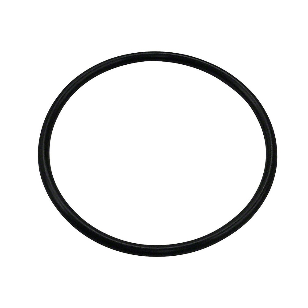 Steering Sector O-ring only fits Massey Tractor | Replaces 180561M1