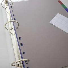 Bazic Products Binder Dividers, 10 Color Tabs, 8.5 x 11 in. (4 PACK)