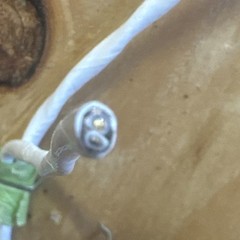 14lb . Wire Mil-Spec PTFE 20 AWG 2 Cond Shlded Silver Plated Copper Stranded ma