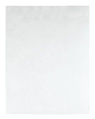 Tyvek 10 x 13 Catalog Envelopes 100 Count Moisture Resistant with Redi Strip …