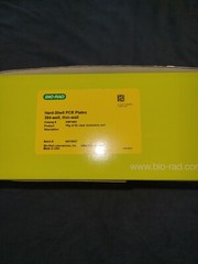 BIO RAD Hard-Shell 384-Well PCR Plates, thin wall, skirted, clear/white HSP3805