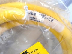 TURCK – RSM 106-4M/S1055 – 4M(13ft) – 600V – 1-1/8″ Male 10-Pin to Bare Wire NEW