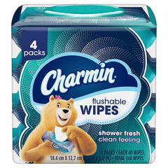 FLUSHABLE SOFT CLEANSING WIPES Bathroom Gentle Clean Personal Hygiene Use 4 Pack