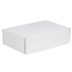 BFMFL16124 Deluxe Literature Cardboard Mailers, 16 x 12 x 4 Inches, Corrugate…