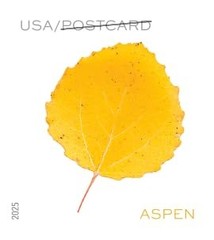 United States Postal Service Vibrant Leaves 2025 Postcard Rate 2 Sheets Of 20