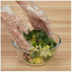 Member’s Mark Disposable Food Gloves, 500 ct., 4 pk -Great Price Free Delivery
