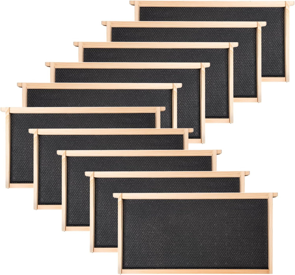 10 Pack Beehive Frames and Wax Foundations for Deep Brood Bee Hives with Wooden