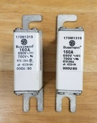 (N) BUSSMANN / Fuse Ref: 170M1319 (B197a)