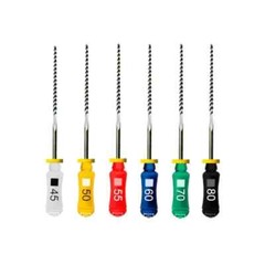 Dentsply Maillefer READY STEEL H-Files 21mm/25mm/31mm, All Sizes (6 Files/pack)