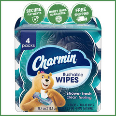 FLUSHABLE SOFT CLEANSING WIPES Bathroom Gentle Clean Personal Hygiene Use 4 Pack