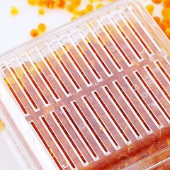 45 Gram 2 Pack Hard Plastic Silica Gel Desiccant Canister Orange to Dark Green