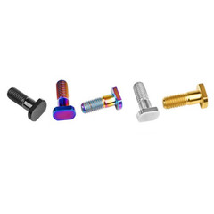 M8x23mm T Bolt Square Head Titanium Ti Screw Pitch 1.25mm For Bicycle Motorcycle