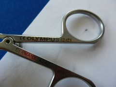 E6803 Olympus A2421 Flexible Forceps 5fr x 64cm