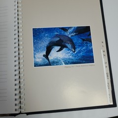 New: Images of Nature Address Book, Featuring Photos by Thomas Mangelsen