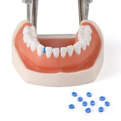 1000 Pcs Dental Separators Orthodontic Elastics Ties Teeth Gap Radio Opaque Blue