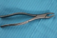 GERMAN 10 GERMAN EXTRACTING FORCEPS EXTRACTION DENTAL INSTRUMENTS-A+ QUALITY