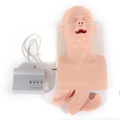 USA Adult Airway Management Trainer Lab Intubation Manikin Study Teaching Model