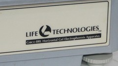 GIBCO BRL HORIZON HORIZONTAL GEL ELETROPHORESIS SYSTEM 11-14 11068-12