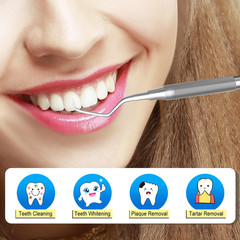 Dental Tool Metal Dental Pick Stainless Steel Tooth Scraper Plaque Tatar Remov