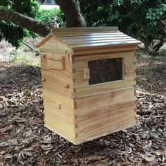 Auto Shed Full Set 7PCS Beehive Honey Hive Frame +Cedarwood Beekeeping Brood Box