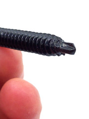 ACE 12″ #15 COMMERCIAL ROOFING SCREWS 12-inch FASTENERS FM Approved *LOT OF 50*