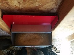 Duncan’s Poultry 50 LB High Capacity Chicken Wall Feeder Hinged Lid Made in USA