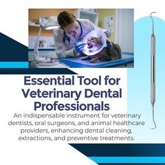 Dentist Veterinary Hygienist Sickle prob/scalers Tartar Removal Curette Dental