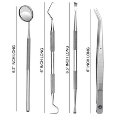 MEDICAL SURGICAL DENTAL TEETH CLEANING TOOTH WHITENING DENTIST PICKS FLOSS SET