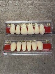 Ultradent Synthetic Polymer False Teeth 2 Sets of 12 – 24 Total Size 42D 54D 65