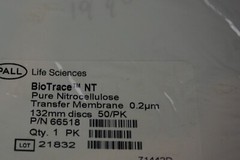 PALL 66518 BIOTRACE NT 0.2µm 132MM TRANSFER MEMBRANE DISCS 132 MM 50/PK NEW